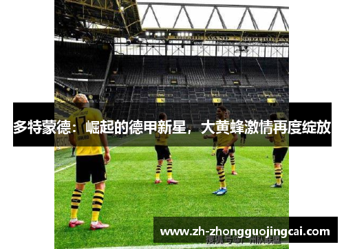 多特蒙德：崛起的德甲新星，大黄蜂激情再度绽放